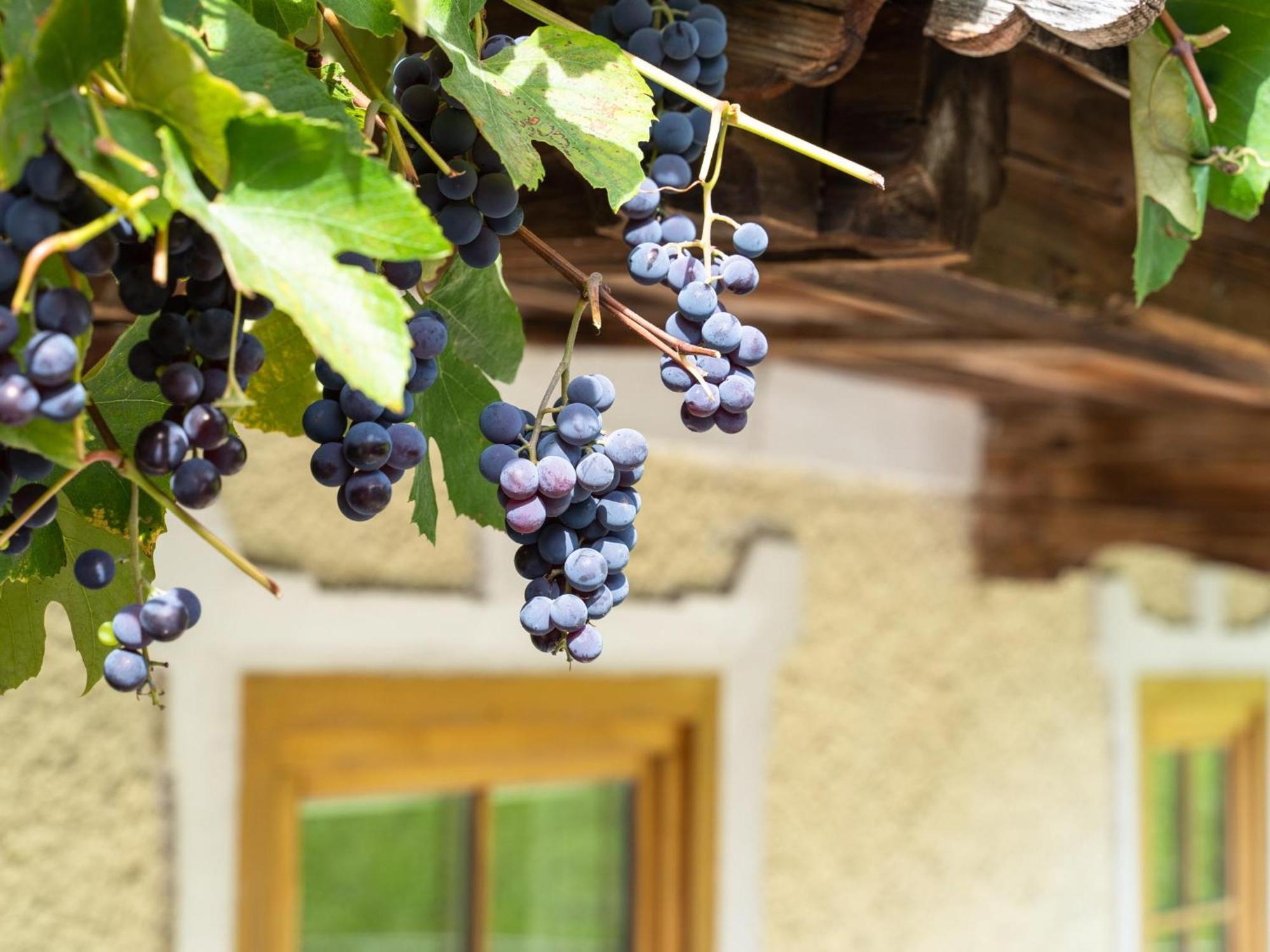 Chalet Anna Bruck am Ziller Kültér fotó